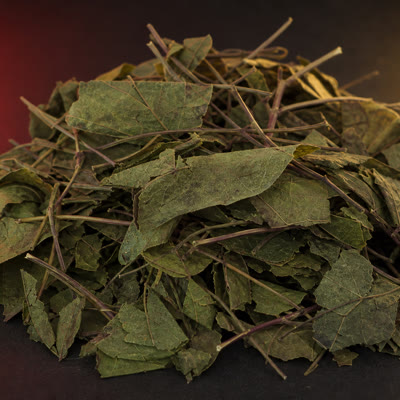 Horny goat weed
